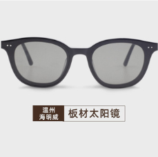 欧美款户外墨镜 板材全框架铆钉椭圆框前卫太阳镜女款大框墨镜