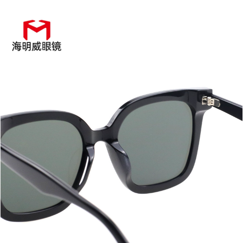 新款太阳眼镜ins同款大框板材女式墨镜时尚潮流遮阳眼镜防紫外线